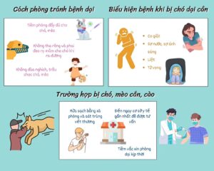 Cách phòng tránh bệnh dại