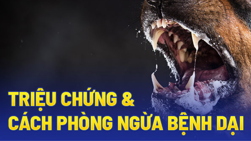 triệu chứng bệnh dại