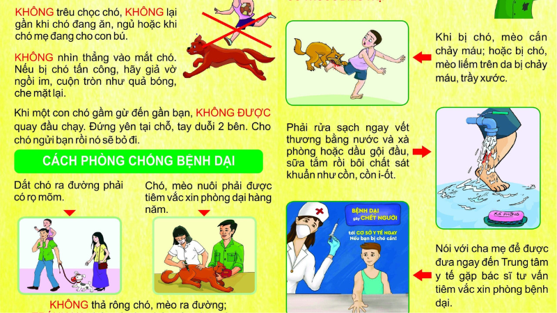 triệu chứng bệnh dại