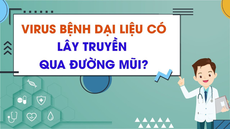 bệnh dại lây qua đường nào