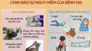 bệnh dại lây qua đường nào